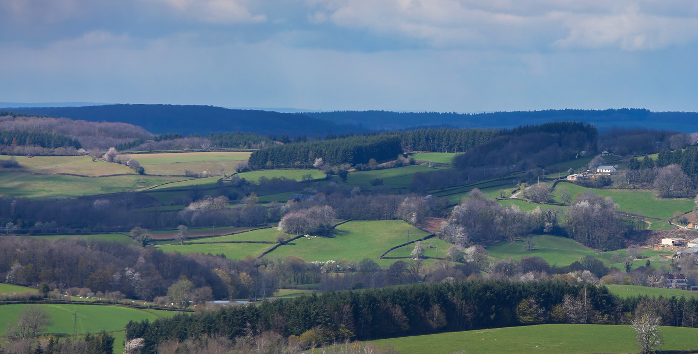 paysage