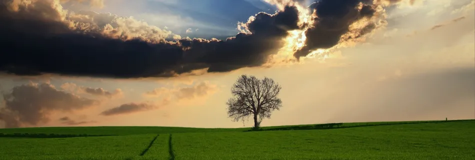 paysage campagne